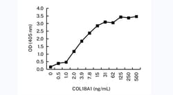 Invitrogen Endostatin Monoclonal Antibody (KT60) 100 &mu;L; Unconjugated:Antibodies,