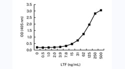Invitrogen Lactoferrin Monoclonal Antibody (KT14) 100 &mu;g; Unconjugated:Antibodies,