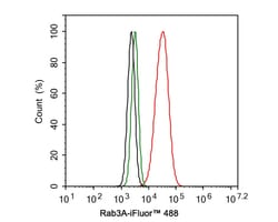Invitrogen RAB3A Recombinant Rabbit Monoclonal Antibody (PSH01-08) 100