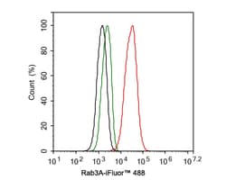 Invitrogen RAB3A Recombinant Rabbit Monoclonal Antibody (PSH01-08) 100
