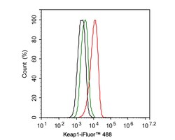 Invitrogen KEAP1 Recombinant Rabbit Monoclonal Antibody (PSH0-90) 100 &mu;L;