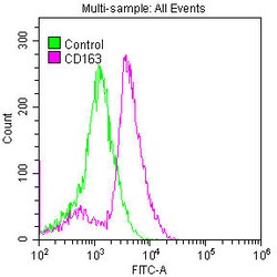Invitrogen CD163 Recombinant Rabbit Monoclonal Antibody (7B2) 100 &mu;L;