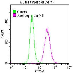 ApoA2 Recombinant Rabbit Monoclonal Antibody (6H2):Antibodies, Recombinant