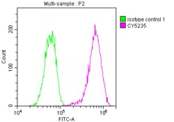 Invitrogen LDLR Recombinant Rabbit Monoclonal Antibody (2B10) 100 &mu;L;