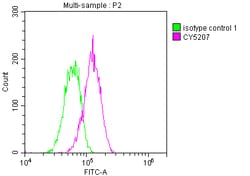 Invitrogen ATM Recombinant Rabbit Monoclonal Antibody (3G11) 100 &mu;L;