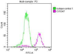 Invitrogen PARP1 Recombinant Rabbit Monoclonal Antibody (8C7) 100 &mu;L;