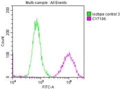 Invitrogen LOXL2 Recombinant Rabbit Monoclonal Antibody (2E5) 100 &mu;L | Buy Online | Invitrogen&trade; | Fisher Scientific