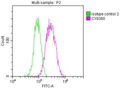 Invitrogen AKR1C3 Recombinant Rabbit Monoclonal Antibody (4D12) 100 &mu;L;