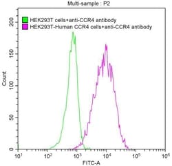 Invitrogen CCR4 Recombinant Human Monoclonal Antibody (12F5) 100 &mu;L;
