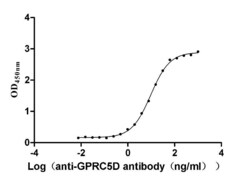 Invitrogen GPRC5D Recombinant Human Monoclonal Antibody (3D4) 100 &mu;L | Buy Online | Invitrogen&trade; | Fisher Scientific