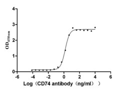Invitrogen CD74 Recombinant Human Monoclonal Antibody (6B4) 100 &mu;L;