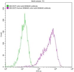 Invitrogen CD100 Recombinant Human Monoclonal Antibody (5D12) 100 &mu;L;