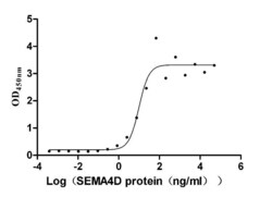 Invitrogen CD100 Recombinant Human Monoclonal Antibody (5D12) 100 &mu;L;