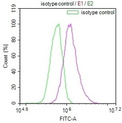 Invitrogen PRDX3 Recombinant Rabbit Monoclonal Antibody (14E2) 100 &mu;L | Buy Online | Invitrogen&trade; | Fisher Scientific