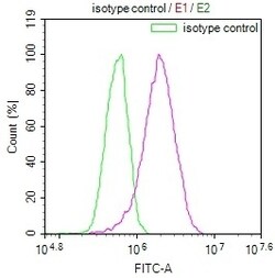 Invitrogen Aconitase 1 Recombinant Rabbit Monoclonal Antibody (22C10) 100