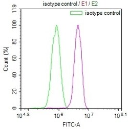 Invitrogen PTX3 Recombinant Rabbit Monoclonal Antibody (10D9) 100 &mu;L;