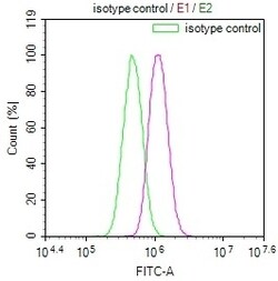Invitrogen BAP31 Recombinant Rabbit Monoclonal Antibody (12G12) 100 &mu;L;