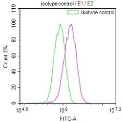Invitrogen HDJ2 Recombinant Rabbit Monoclonal Antibody (23C6) 100 &mu;L;