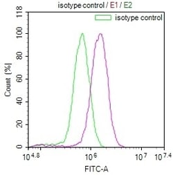 Invitrogen LRP2 Recombinant Rabbit Monoclonal Antibody (10B5) 100 &mu;L;