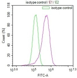 Invitrogen FADS1 Recombinant Rabbit Monoclonal Antibody (7A10) 100 &mu;L;
