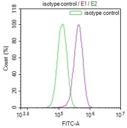 Invitrogen USP24 Recombinant Rabbit Monoclonal Antibody (11E3) 100 &mu;L;