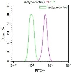 Invitrogen MAS1L Recombinant Rabbit Monoclonal Antibody (15B8) 100 &mu;L;