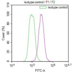 Invitrogen HMGCL Recombinant Rabbit Monoclonal Antibody (22H11) 100 &mu;L;