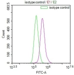 Invitrogen GLUT3 Recombinant Rabbit Monoclonal Antibody (14B1) 100 &mu;L;