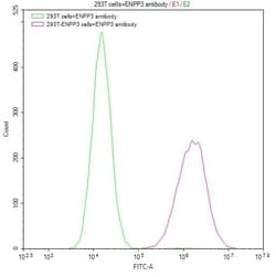 Invitrogen&trade;&nbsp;CD203c Recombinant Human Monoclonal Antibody (3B2)