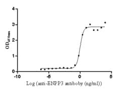 Invitrogen CD203c Recombinant Human Monoclonal Antibody (3B2) 100 &mu;L | Buy Online | Invitrogen&trade; | Fisher Scientific
