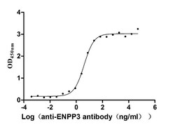Invitrogen CD203c Recombinant Human Monoclonal Antibody (3B2) 100 &mu;L | Buy Online | Invitrogen&trade; | Fisher Scientific