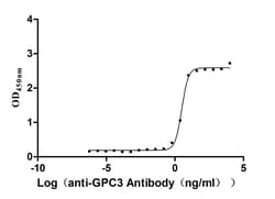 Invitrogen Glypican 3 Recombinant Human Monoclonal Antibody (4C3) 100 &mu;L;