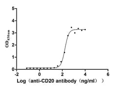 Invitrogen CD20 Recombinant Human Monoclonal Antibody (5D4) 100 &mu;L;