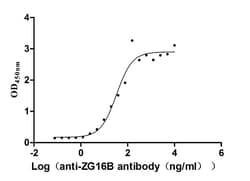 Invitrogen ZG16B Recombinant Human Monoclonal Antibody (6E5) 100 &mu;L;