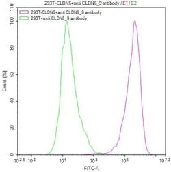Invitrogen Claudin 6/9 Recombinant Human Monoclonal Antibody (9H8) 100