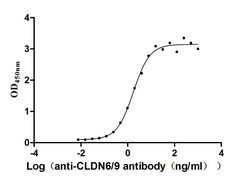 Invitrogen Claudin 6/9 Recombinant Human Monoclonal Antibody (9H8) 100