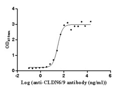 Invitrogen Claudin 6/9 Recombinant Human Monoclonal Antibody (9H8) 100
