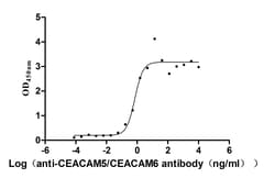 Invitrogen CEACAM5/CEACAM6 Recombinant Human Monoclonal Antibody (11A1)