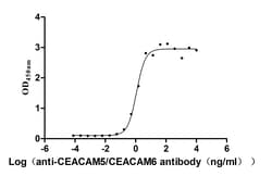 Invitrogen CEACAM5/CEACAM6 Recombinant Human Monoclonal Antibody (11A1)