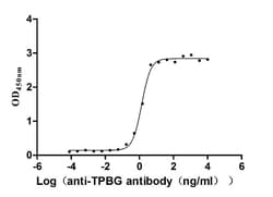 Invitrogen 5T4 Recombinant Human Monoclonal Antibody (13C3) 100 &mu;L | Buy Online | Invitrogen&trade; | Fisher Scientific