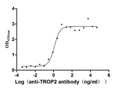Invitrogen TROP2 Recombinant Human Monoclonal Antibody (10B10) 100 &mu;L;