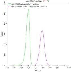 Invitrogen CDH17 Recombinant Human Monoclonal Antibody (10B3) 100 &mu;L;