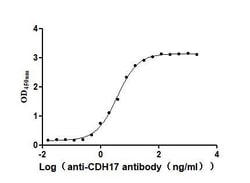 Invitrogen CDH17 Recombinant Human Monoclonal Antibody (10B3) 100 &mu;L;