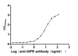 Invitrogen GIPR Recombinant Mouse Monoclonal Antibody (12C6) 100 &mu;L;