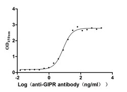 Invitrogen GIPR Recombinant Mouse Monoclonal Antibody (12C6) 100 &mu;L;