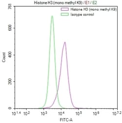 Invitrogen H3K9me1 Recombinant Rabbit Monoclonal Antibody (13E1) 100 &mu;L;
