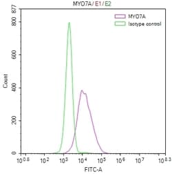 Invitrogen MYO7A Recombinant Rabbit Monoclonal Antibody (31A12) 100 &mu;L;