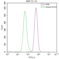 Invitrogen SIRP alpha Recombinant Rabbit Monoclonal Antibody (3C3) 100