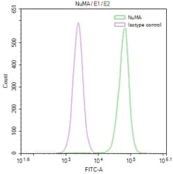 Invitrogen NuMA Recombinant Rabbit Monoclonal Antibody (12A11) 100 &mu;L;