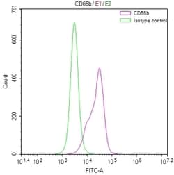 Invitrogen CD66b Recombinant Rabbit Monoclonal Antibody (24H12) 100 &mu;L;